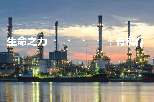 生命之力！有機(jī)廢氣如何被微生物轉(zhuǎn)化為寶貴資源？